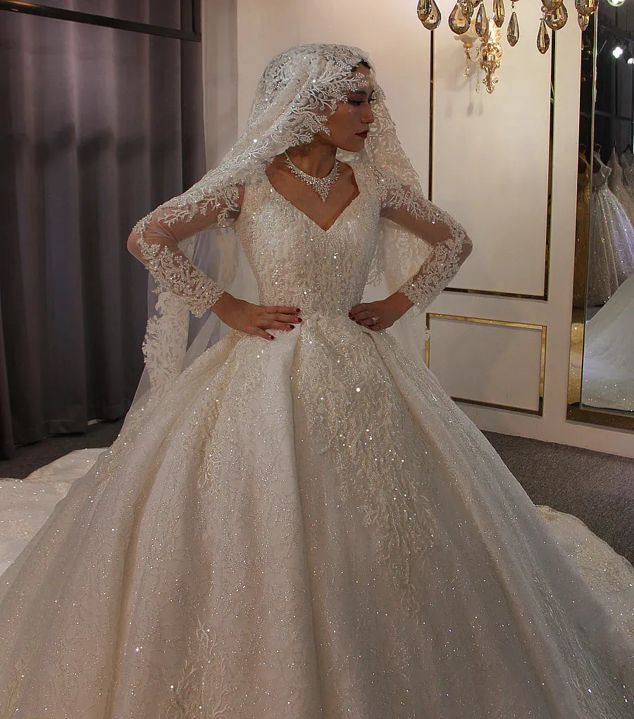 AM601 Long Sleeve Lace Appliques Ball Gown Wedding Dress