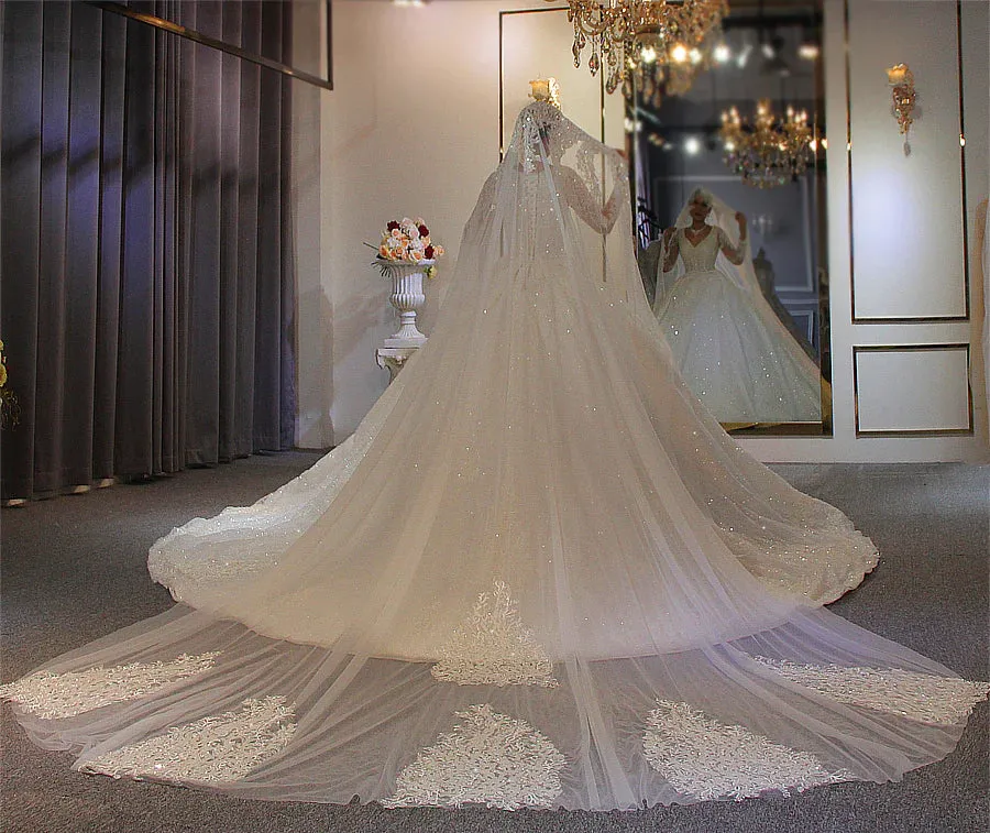 AM601 Long Sleeve Lace Appliques Ball Gown Wedding Dress