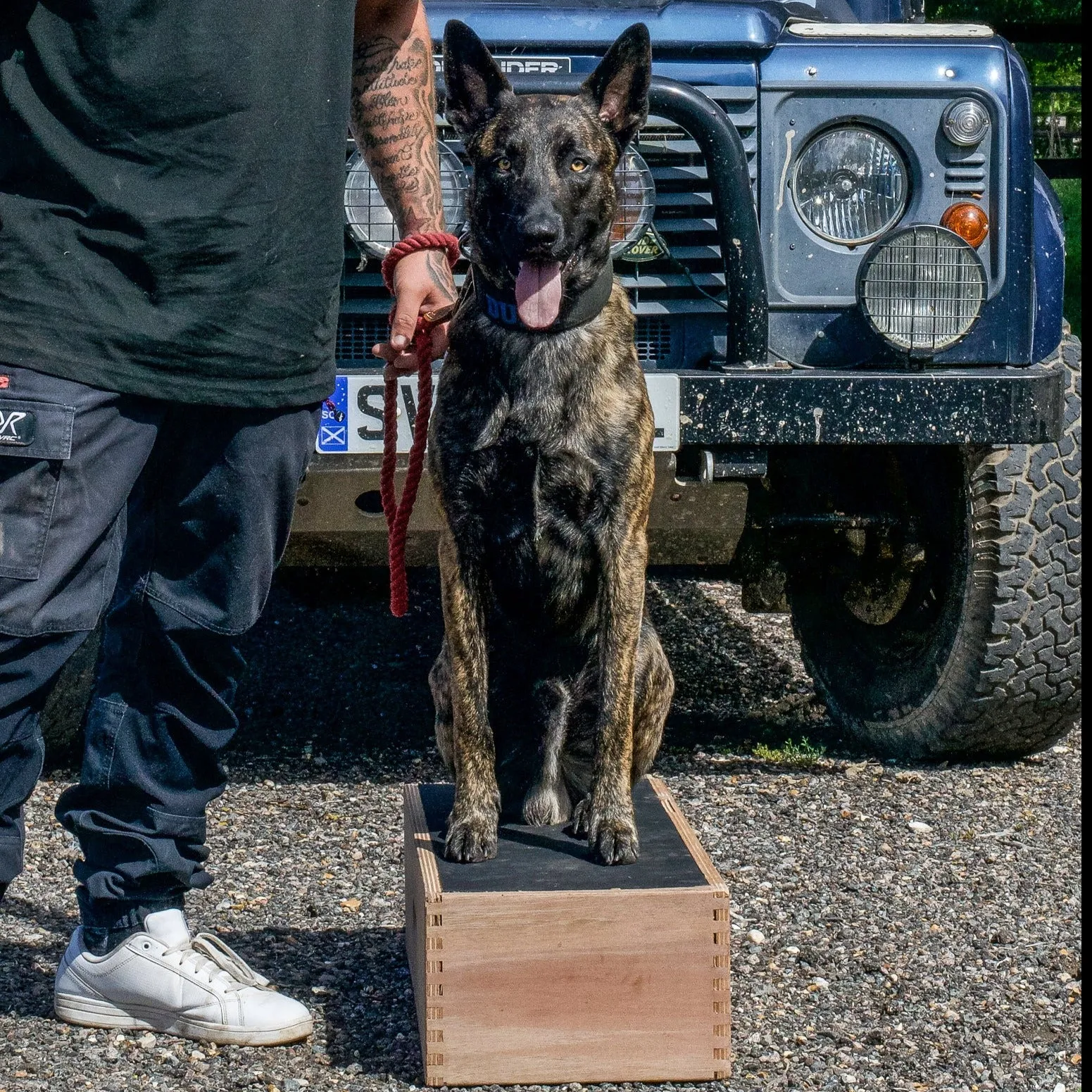 Dog Position Box | Shaping Box | Obedience Training Box for Dogs