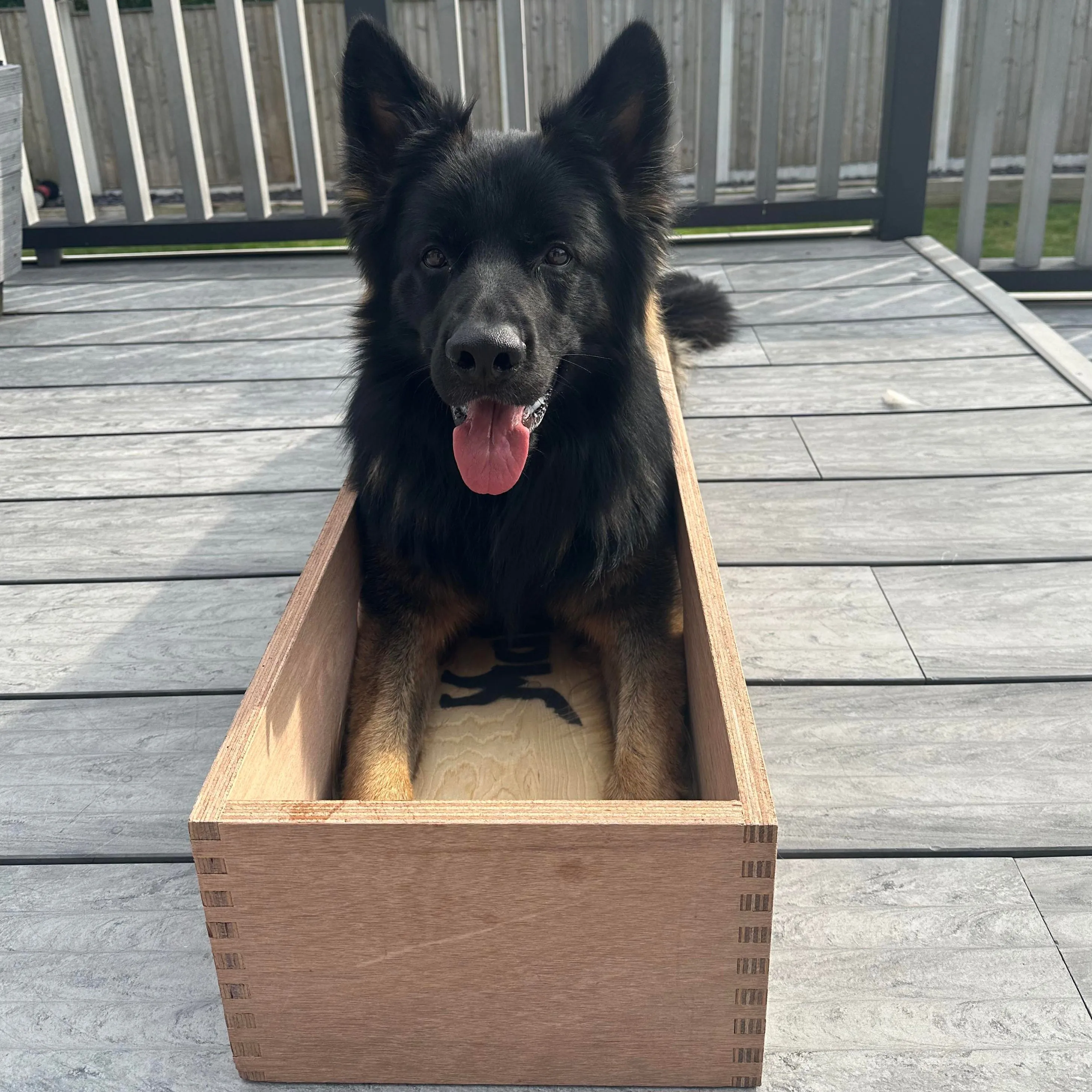 Dog Position Box | Shaping Box | Obedience Training Box for Dogs