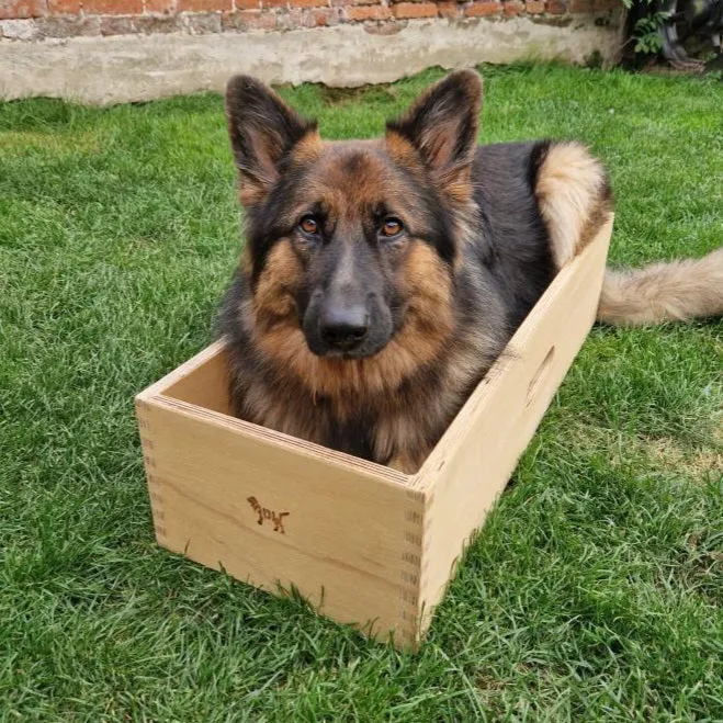 Dog Position Box | Shaping Box | Obedience Training Box for Dogs