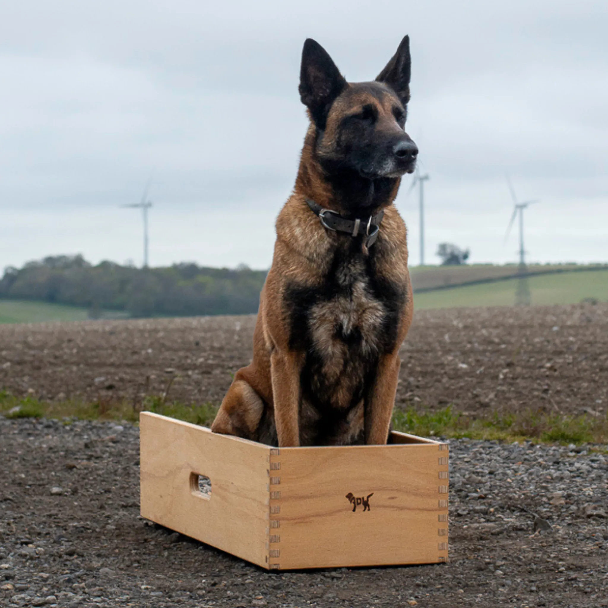 Dog Position Box | Shaping Box | Obedience Training Box for Dogs