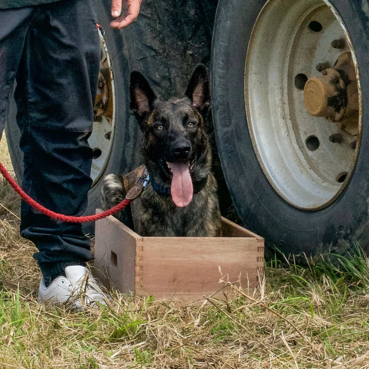 Dog Position Box | Shaping Box | Obedience Training Box for Dogs