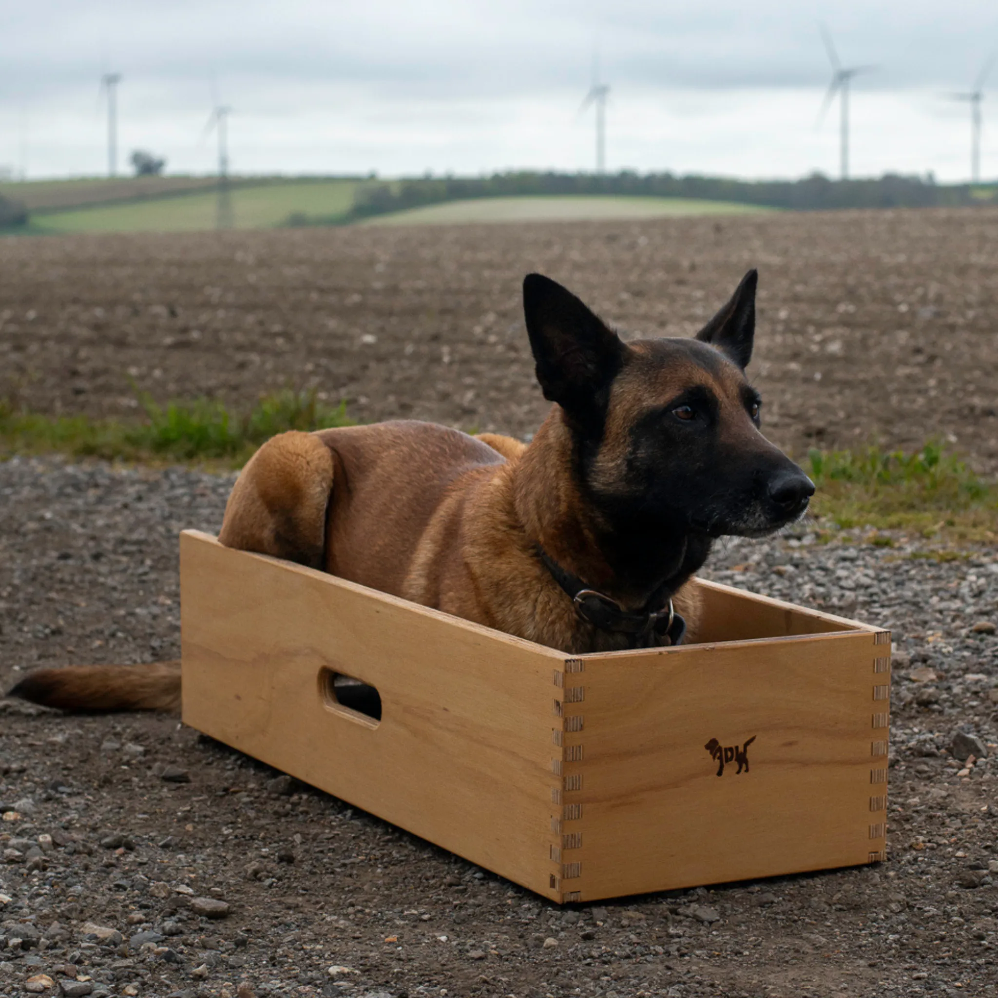 Dog Position Box | Shaping Box | Obedience Training Box for Dogs