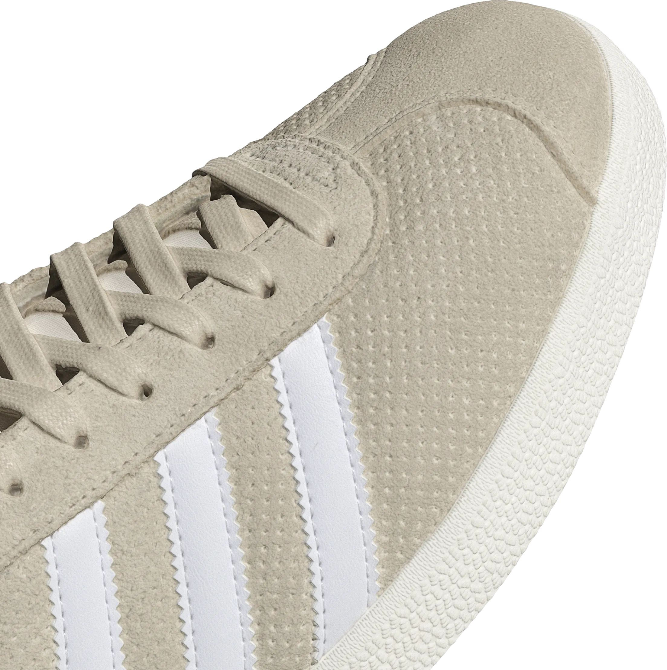 Gazelle 'Wonder White'