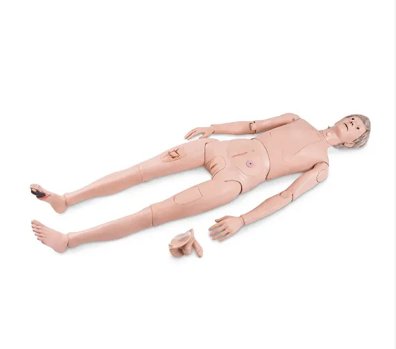 P11/1 Manikin Patient Care Bsc