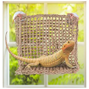 Penn Plax Window Lizard Lounger